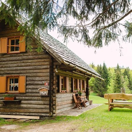 Wood House Irena-Pocitniska Hisa Villa Bohinj Exteriör bild